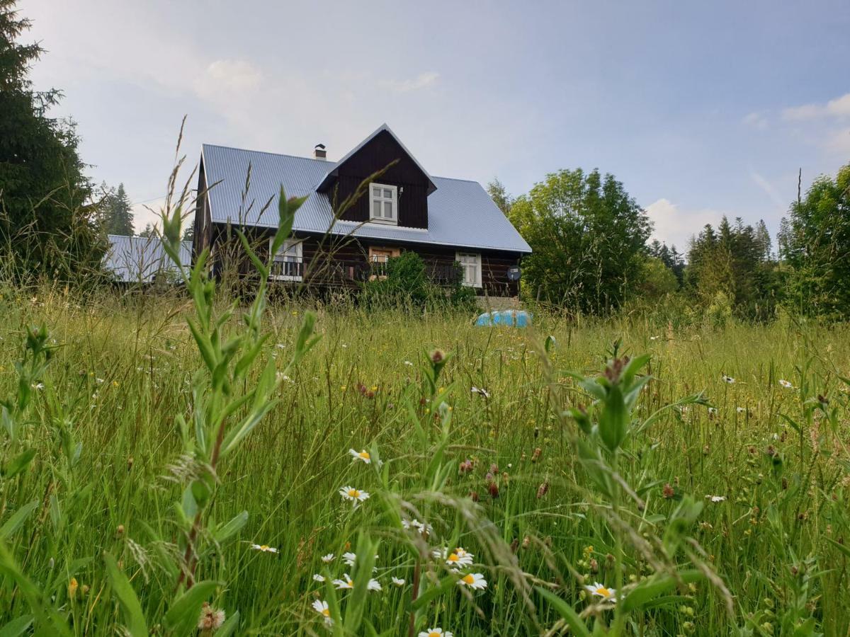 Chata Goralska Wojtasowka Kamesznica Eksteriør bilde